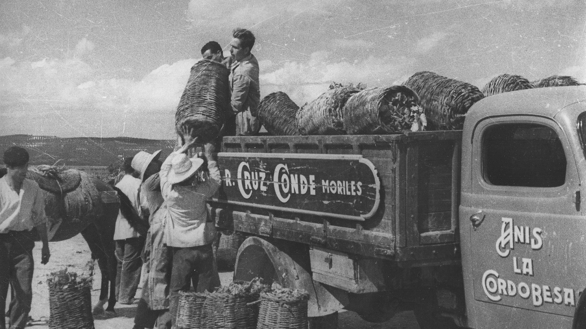 Historia de Bodegas Cruz Conde